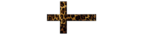 Pludo Studios 